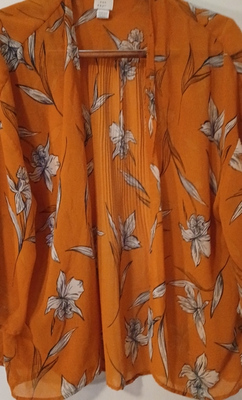 A New Day Sheer Cover Up - Picture 1 of 4